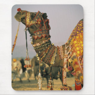Mousepad Ásia, Índia, Pushkar. Camelo Shamu, Pushkar