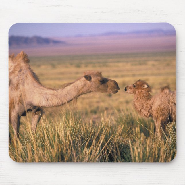 Mousepad Ásia, Mongólia, Deserto de Gobi, Grande Gobi (Frente)