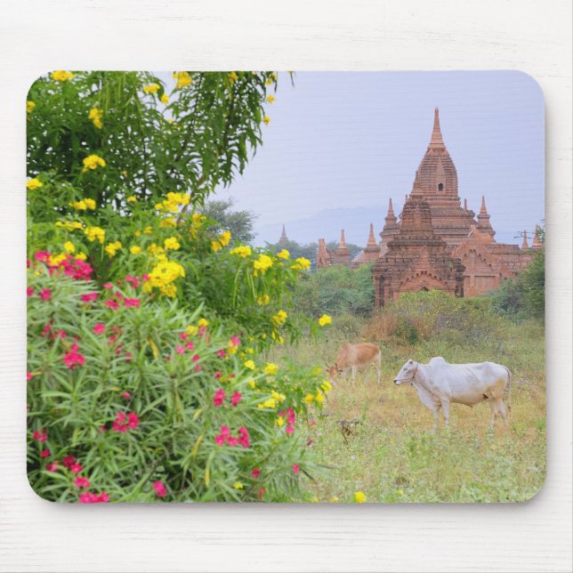 Mousepad Ásia, Myanmar (Birmânia), Bagan (Pagan). Vacas (Frente)