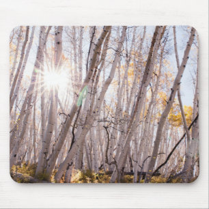 Mousepad Aspen Árvores