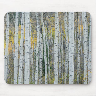 Mousepad Aspen troncos de árvore Aspen, Colorado
