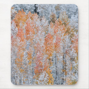 Mousepad Aspens & Neve Montanhas Rochosas, Colorado