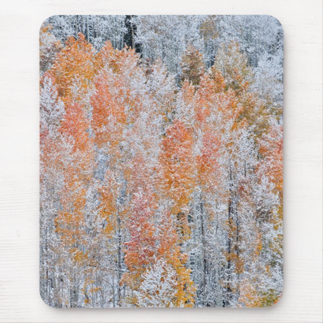 Mousepad Aspens & Neve | Montanhas Rochosas, Colorado (Frente)