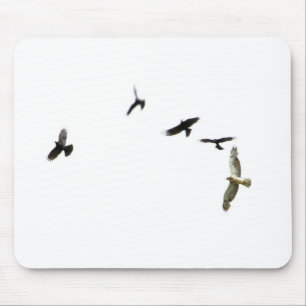 Mousepad Assassinato de corvos