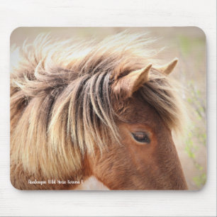 Mousepad Assateague Wild Horse
