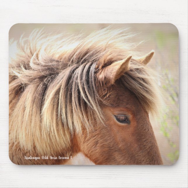 Mousepad Assateague Wild Horse (Frente)