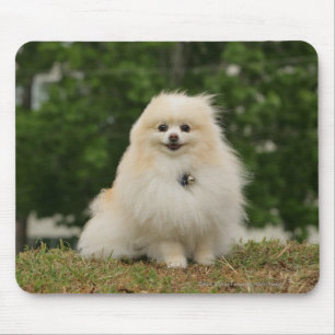 Mousepad Assento de Pomeraning