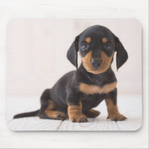 Mousepad Assento diminuto do Dachshund