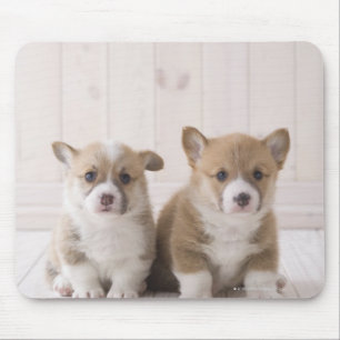 Mousepad Assento do Corgi dois Galês
