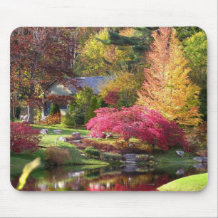 Mousepad Asticou na queda
