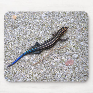 Mousepad atado azul de Skink