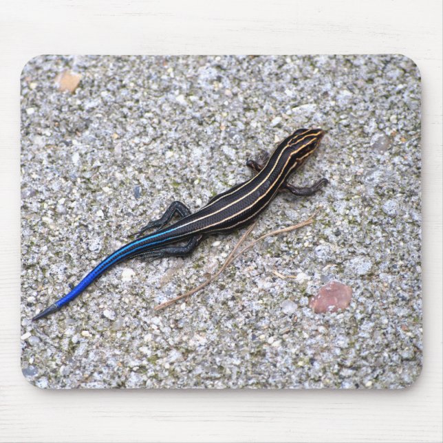 Mousepad atado azul de Skink (Frente)