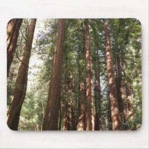 Mousepad Até Redwoods II no Monumento Nacional Muir Woods