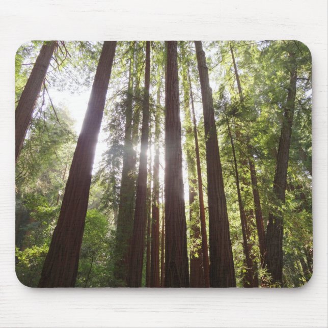 Mousepad Até Sequoias de Manhã (Frente)