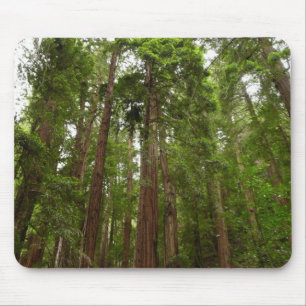 Mousepad Até Sequoias Eu no Monumento Nacional de Muir Wood