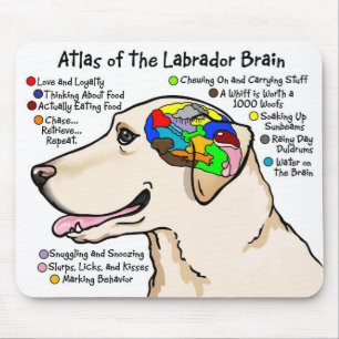 Mousepad Atlas amarelo do cérebro de Labrador