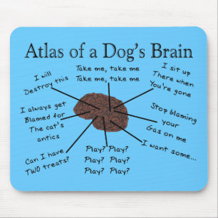 Mousepad Atlas do Cérebro de um Cão