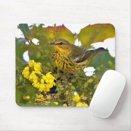 Mousepad Atordoamento do Cabo May Warbler Songbird na Mahon