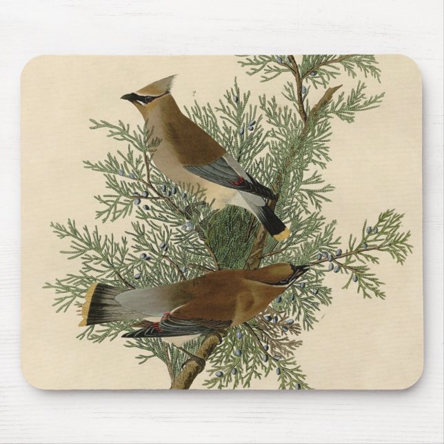 Mousepad Audubon Cedar Waxwing Bird (Frente)