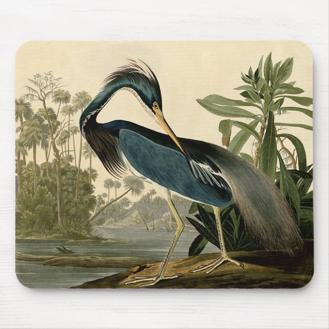 Mousepad Audubon Louisiana Heron Birds América Art (Frente)