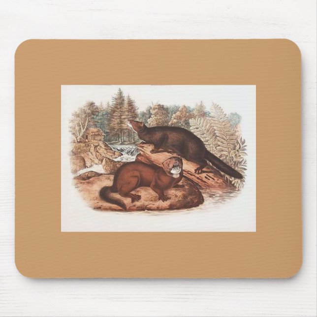 Mousepad Audubon - Mink (Frente)