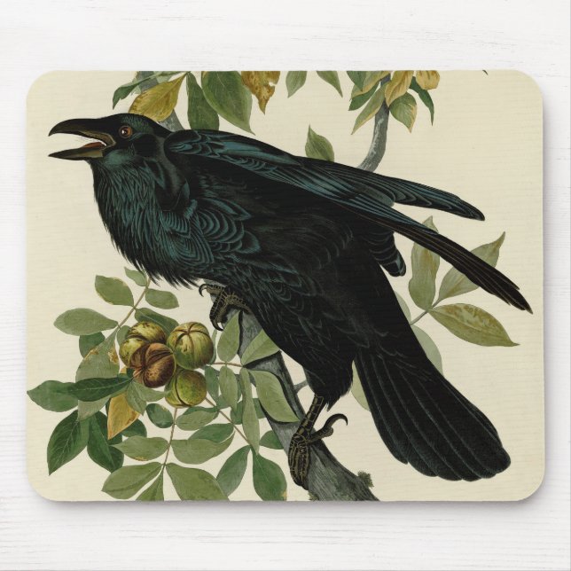 Mousepad Audubon Raven Bird Classic Trabalho de arte (Frente)