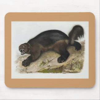 Mousepad Audubon - Wolverine