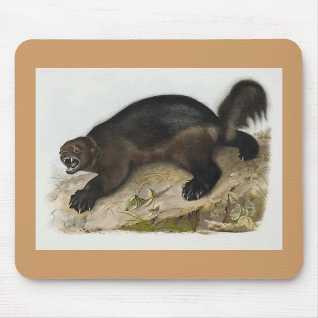 Mousepad Audubon - Wolverine (Frente)