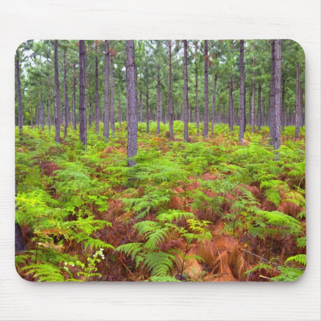 Mousepad Aumento do Paraqueíte (Pteridium Aquilinum) (Frente)