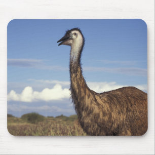 Mousepad Austrália, Austrália Ocidental. Emu (Dromaius