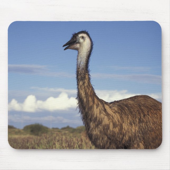 Mousepad Austrália, Austrália Ocidental. Emu (Dromaius (Frente)