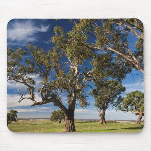 Mousepad Austrália, Barossa Valley, Mount Pleasant