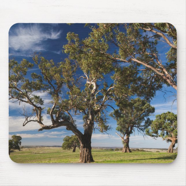 Mousepad Austrália, Barossa Valley, Mount Pleasant (Frente)