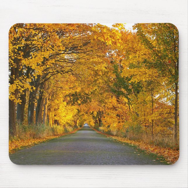 Mousepad Autumn Avenue Trees Fora da Estrada (Frente)