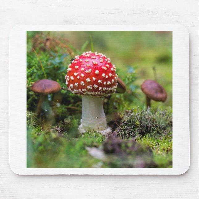 Mousepad Autumn Beauty (Frente)