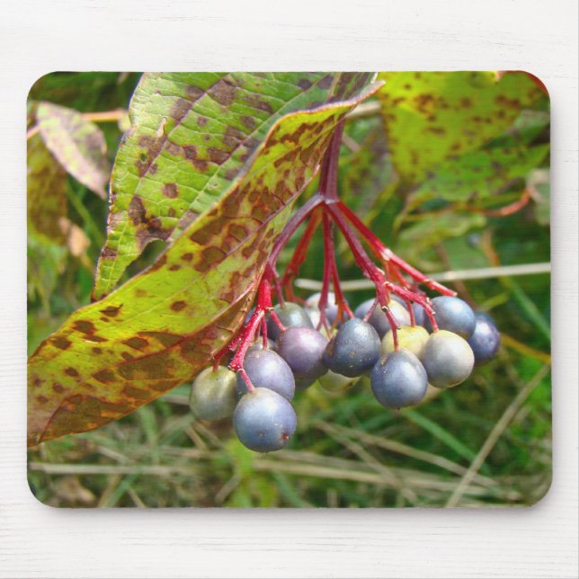 Mousepad Autumn Berries (Frente)