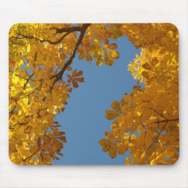 Mousepad Autumn Falling Deixa Chestnut Tree (Frente)