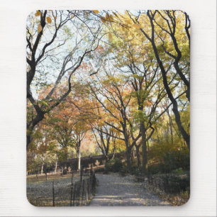 Mousepad Autumn Leaves Riverside Park Nova Iorque NYC