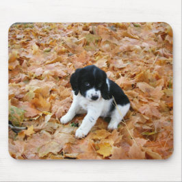 Mousepad Autumn Puppy
