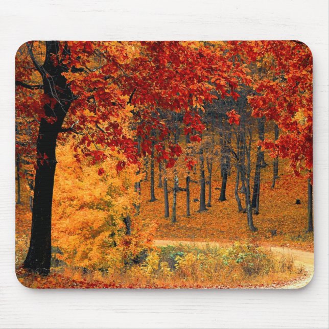 Mousepad Autumn Road (Frente)