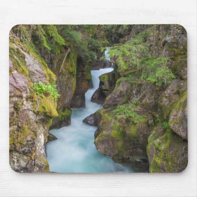 Mousepad Avalanche Creek, Parque Nacional Glacier, Montana (Frente)