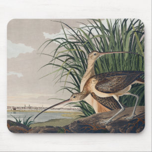 Mousepad Ave-do-relvado-de-bico-longo-Audubon