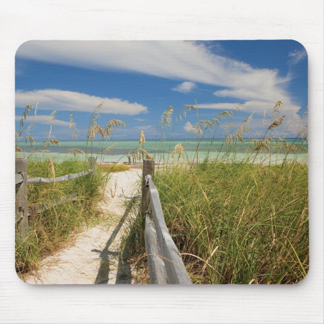 Mousepad Aveia do mar Uniola paniculata) crescendo pela pra (Frente)