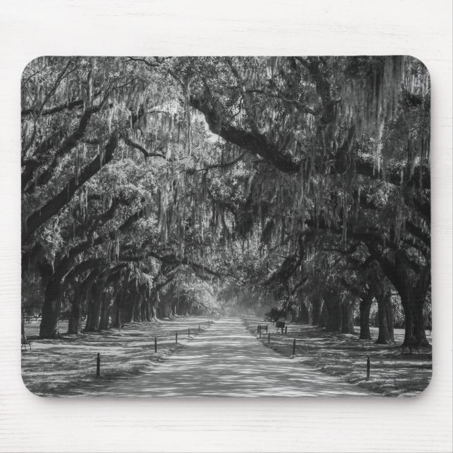 Mousepad Avenida De Oaks Escala De Cinza (Frente)