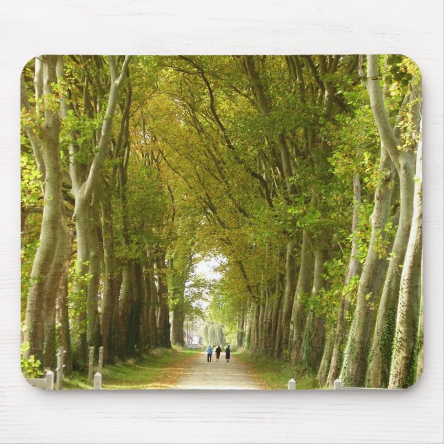 Mousepad Avenida do Mato do Rato das Árvores (Frente)