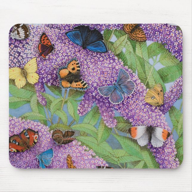 Mousepad Aventurando-se 2011 (Frente)