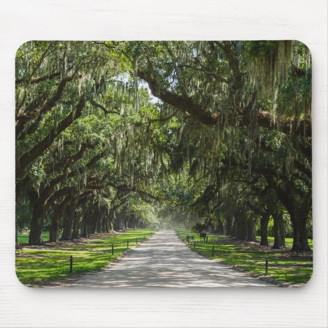 Mousepad Avenue Of Oaks (Frente)