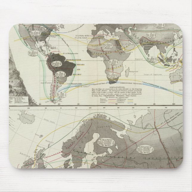 Mousepad Aves (Frente)