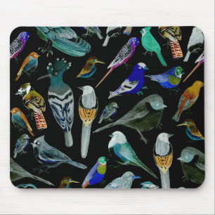 Mousepad Aves da América - animais de companhia e aves sel