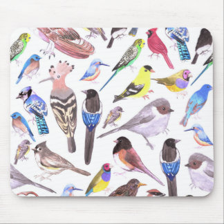 Mousepad Aves da América - animais de companhia e aves selv